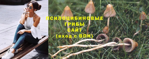 бутират Касимов
