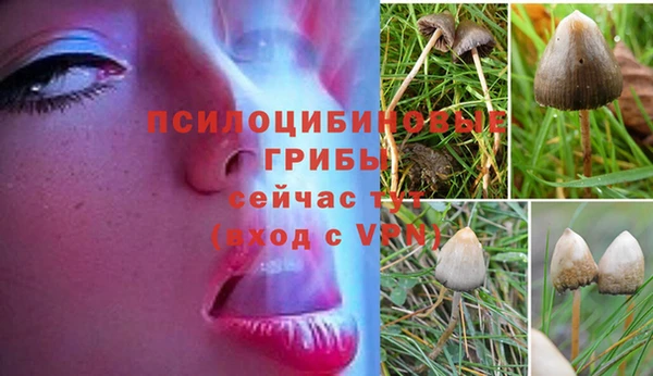 не бодяженный Карпинск
