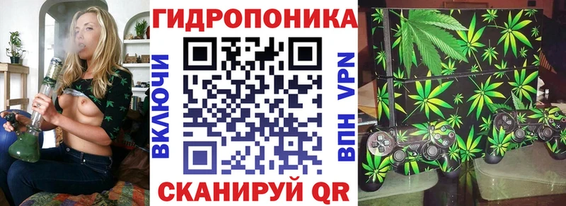 Купить закладки  Галич  МАРИХУАНА White Widow 